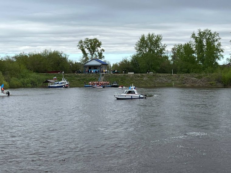 Моржи готовятся к заплыву по Туре