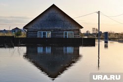 Всего же было подано более двух с половиной тысяч заявлений 