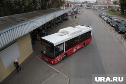 На автобусе мужчина уехал из Перми к родным