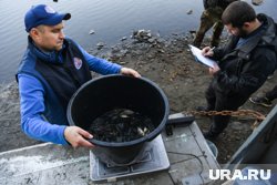 Принятые меры помогут поддержать отечественных производителей