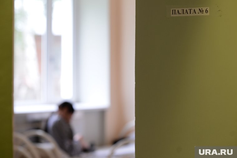 Площадь нового корпуса составит 2 500 квадратных метров