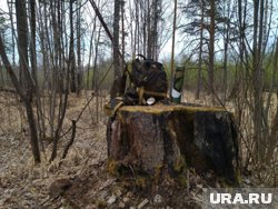 Карикатуры были найдены в зоне СВО