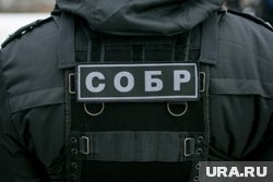 Силовики этапируют подозреваемого