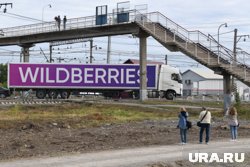 Логистический центр Wildberries начнут строить в 2025 году