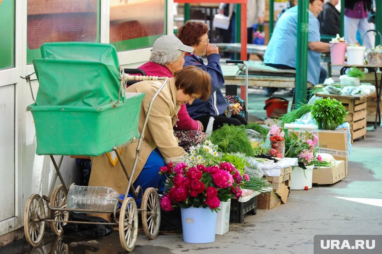 Урожая хорошим садоводам хватает не только для себя, но и для продажи 