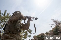 Наибольшие потери понесены в зоне ответственности группировки войск «Центр»