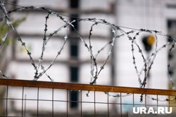 Территорию птицефабрики обнесли забором (архивное фото)