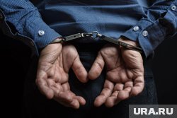 Леся задержали при попытке бегства