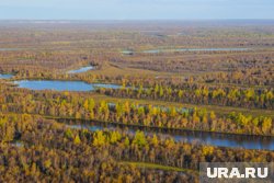 Специалисты исследуют экологию заказника (архивное фото)