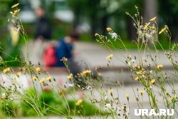 Метеорологическое лето наступит в регионе на 5–8 дней раньше климатической нормы