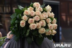 Красивые розы можно не только купить, но и вырастить на дачном участке