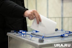 Жители Молдавии потребовали открыть избирательные участки в Калуге, Москве и Санкт-Петербурге