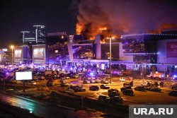 Боевики готовились к теракту больше полугода