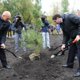 Махнем не глядя: как сложились судьбы челябинских чиновников, сменивших власть на бизнес