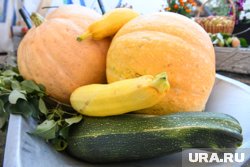 Кабачки и тыква хорошо растут при соблюдении двух условий: тепло и влага