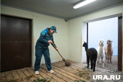 Работа в новом пермском зоопарке оказалась очень интересной и разнообразной