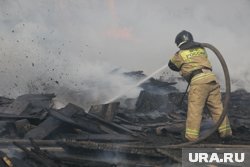 Очевидцы пожаловались на отсутствие спасателей на месте пожара в Подмосковье