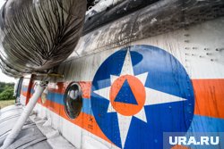 Следственные органы проводят экспертизы для выяснения причин смерти