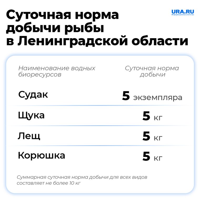 В Ленинградской области есть ограничения по ловле рыбы