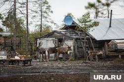 В Когалыме построят стойбище хантов