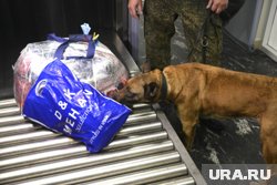 На перевозчика насвая завели административные протоколы