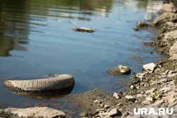 Обмеление озера усложняет работы по его расчистке (архивное фото)