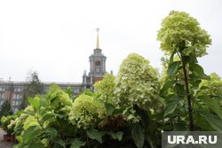 Парковку закроют на три месяца ради фестиваля