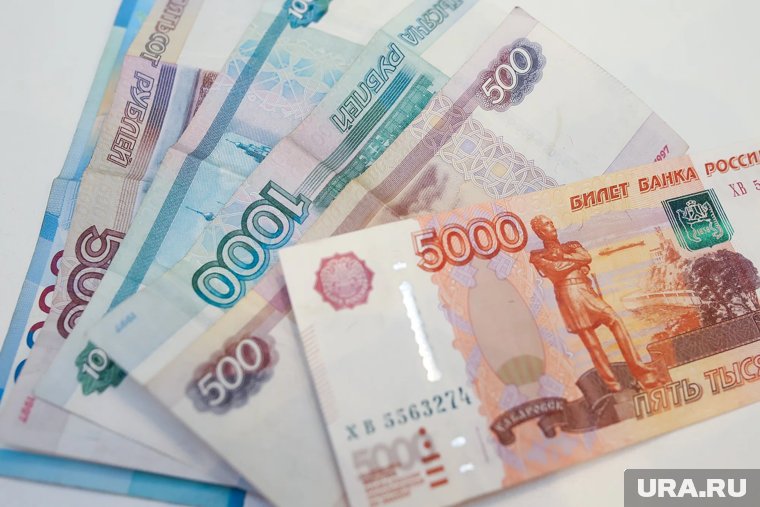 Голосование по выбору символов для новой банкноты в 500 рублей завершится 14 октября в 12:00 по мск