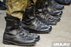 В Германии находятся 200-250 тысяч украинцев призывного возраста