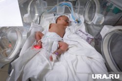 Отдельные пенсии будут назначены детям, рожденным по процедуре ЭКО