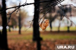 В течение месяца дневная температура с 12 градусов опустится до трех
