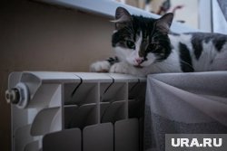 Отопительный сезон в Кургане начинается с 25 сентября
