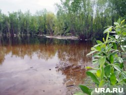 Власти Нижневартовска готовятся снять режим ЧС из-за паводка