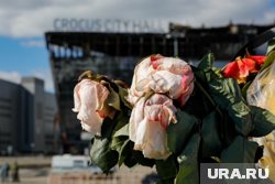 Мужчина, связанный с терактом в «Крокусе», осужден на 14 лет за попытку устроить взрыв в Новосибирске