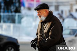 В Курганской области на 1 ноября 2024 года было 40 217 работающих пенсионеров