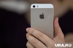 Минцифры поддерживает требование ФАС к Apple