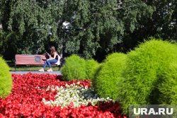 266 тысяч саженцев будут высажены в городе этим летом