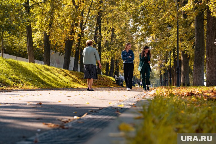 Курганцев ждет потепление