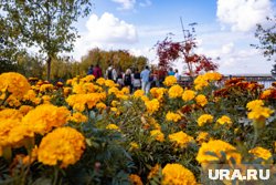 Бабье лето начнется только после похолодания с порывистым ветром и осадками, сообщил глава Гидрометцентра Роман Вольфанд