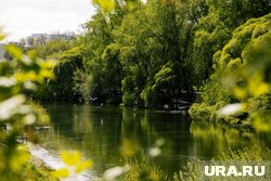 Проект хотят реализовать до 2045 года