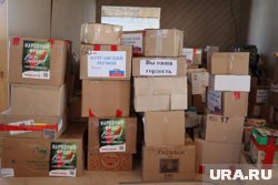 Статистика приведена за 10 месяцев 2025 года