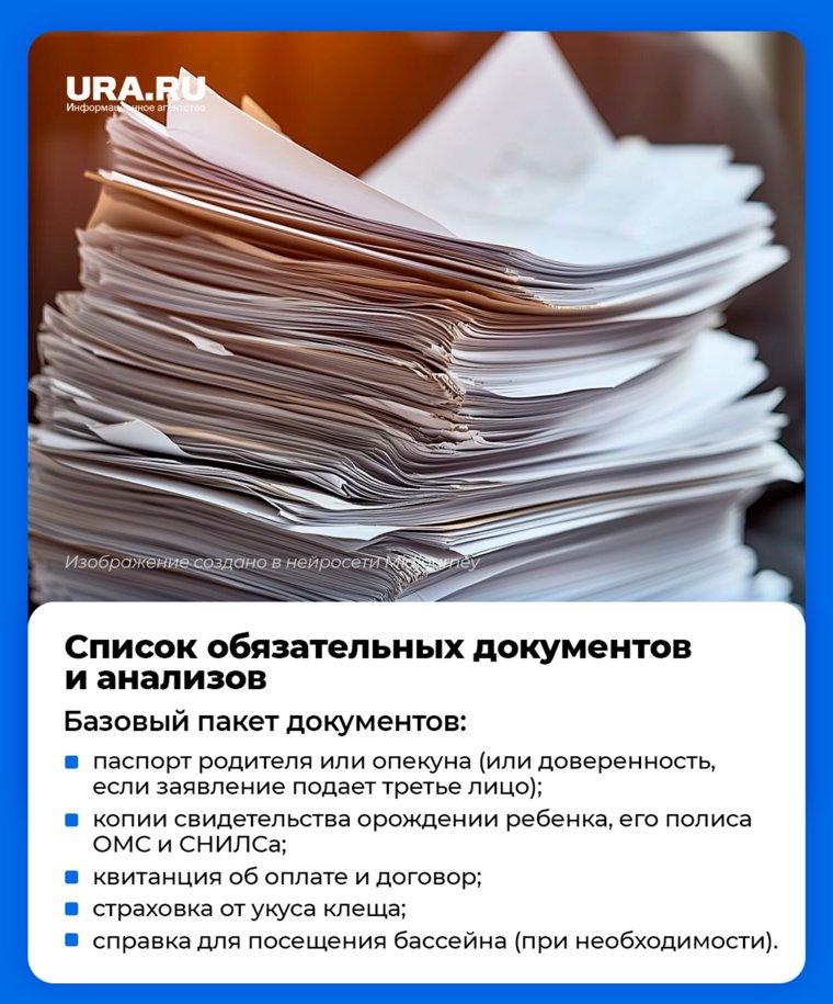 При оформлении заявления на поездку в детский лагерь важно не забыть собрать все необходимые документы
