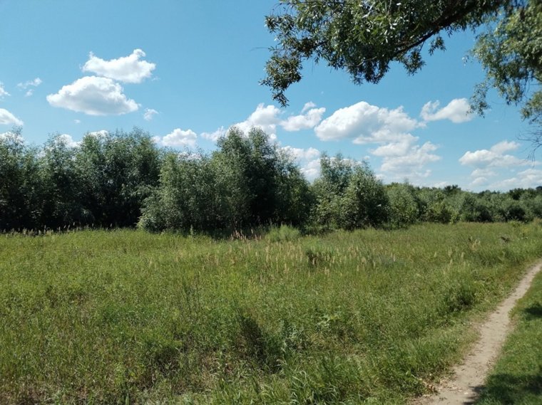 Жители Катайска требуют оборудовать пляж в городе