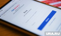 Для голосования онлайн нужно заранее подать заявление на Госуслугах