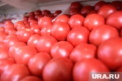 Помидоры подорожали на 12,04% в Курганской области