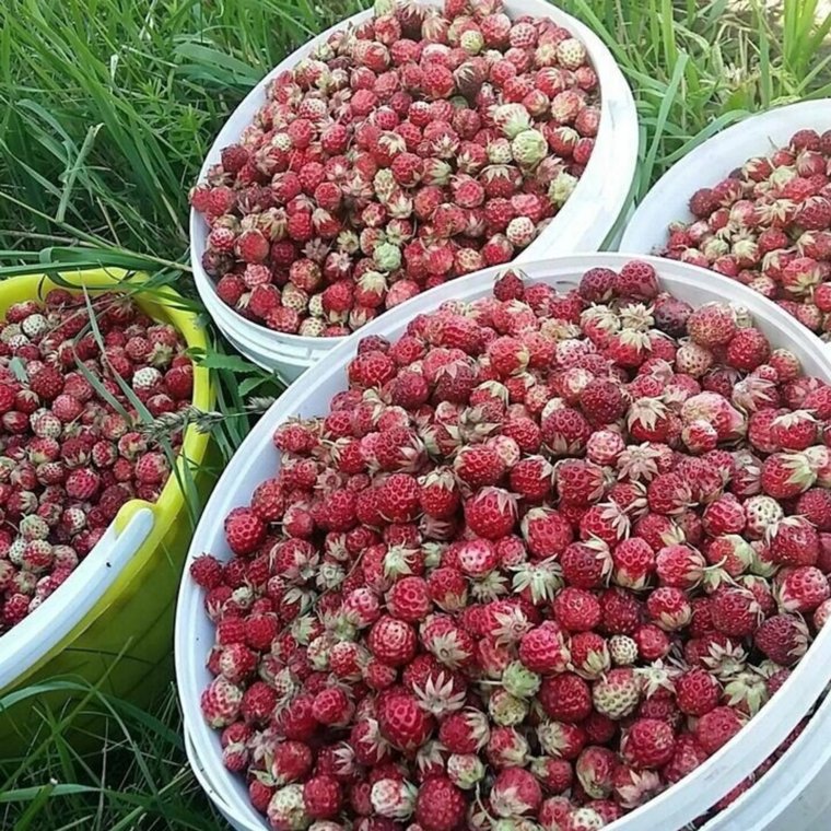 Питание включено в стоимость тура