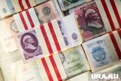 Молодой Илон бросил университет ради карьеры бизнесмена
