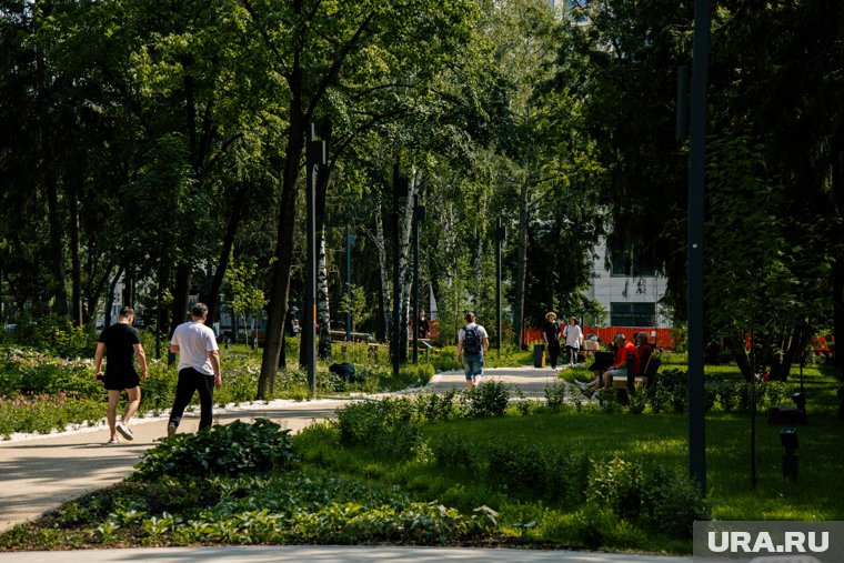 Температура будет держаться на уровне +24 градуса