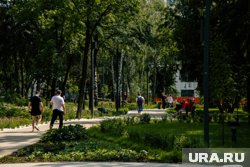 Температура будет держаться на уровне +24 градуса