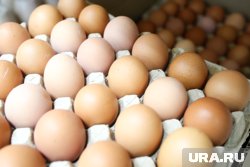 Цены на яйца на Ямале снизились с начала года на 7,9%